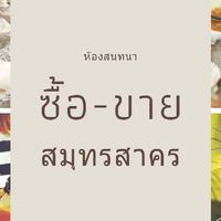 ซื้อ-ขาย จังหวัดสมุทรสาคร