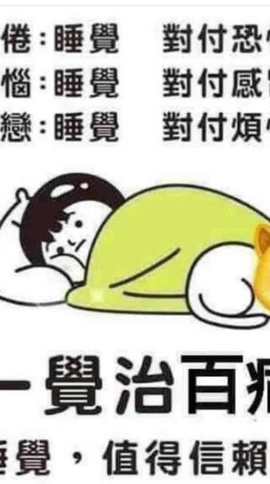 秋慶帕龜鋼盔
