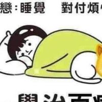 秋慶帕龜鋼盔
