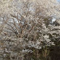 🌈 60代・70代の優しい時間 🌈