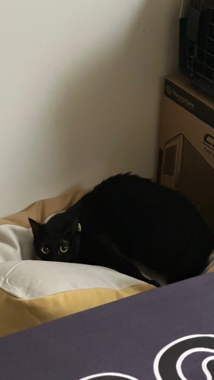 安安安安安安安安安安