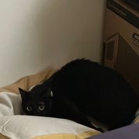安安安安安安安安安安