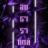 𒀭࣪ 𓏻 ตระกูลอินธาราทิตย์﹐𝐈𝐍𝐓 ⸝⸝