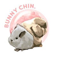 Bunny Chin