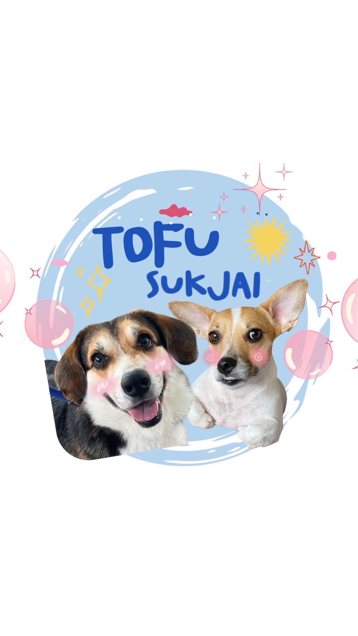 Tofuandsukjai