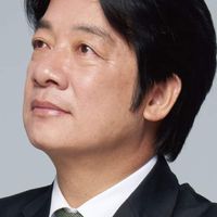 臺派青鳥威力十足民進黨大聯盟