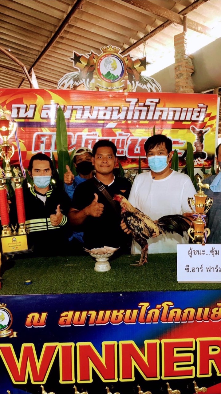 ซุ้มซีอาร์ พม่าม้าล่อรำวง