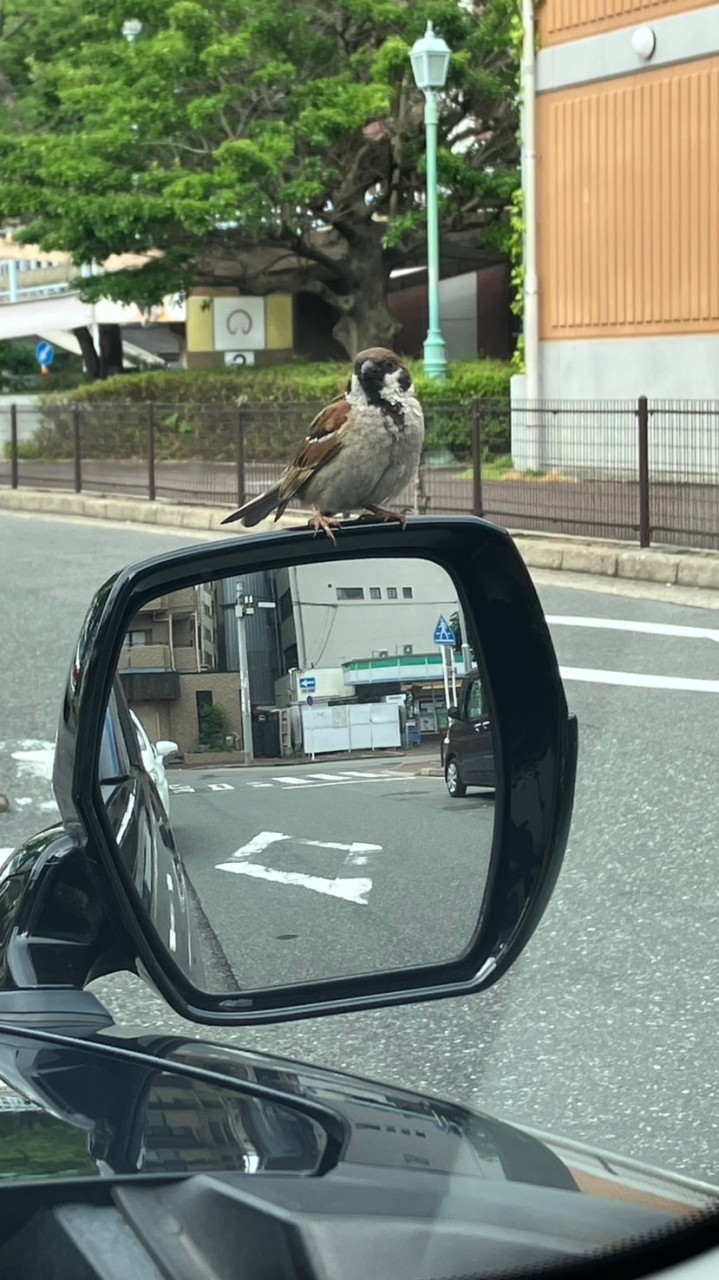 あんしんネットなごや緑