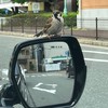 あんしんネットなごや緑