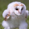 雑談相談なーんでも話そ！