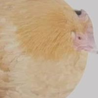 sleepinharmony952