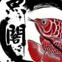 魚閣水族交流群大桃園區「龍魚.紅龍.金龍.虎魚.魟魚」