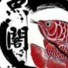 魚閣水族交流群大桃園區「龍魚.紅龍.金龍.虎魚.魟魚」