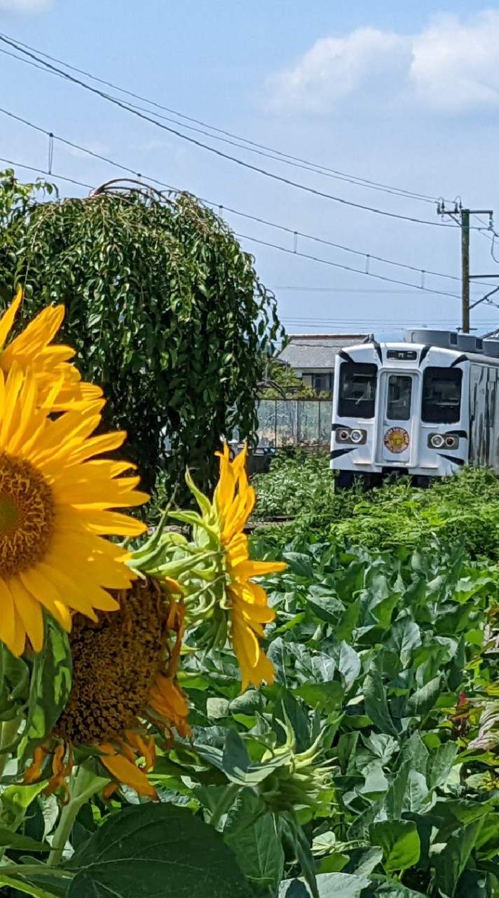 地方私鉄好き集まれ！のオープンチャット