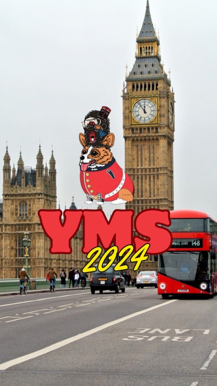 🇬🇧イギリスYMS🇬🇧2024/2025