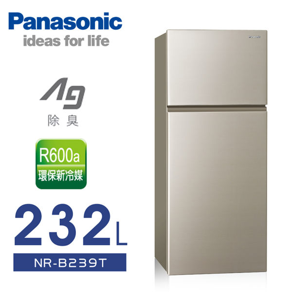 【 國際牌】232L無邊框雙門電冰箱／金NR-B239T-R 含基本安裝