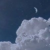 即抜け禁止！夜更かし民、雑談の集い