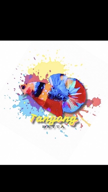 🇹🇭 Tanyong Betta Shop 🇹🇭