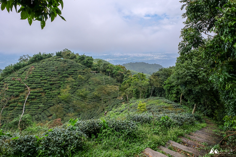 山女孩Melissa_雲嘉七連峰_獨立山_大籠頂_太平山_梨子腳山-7764.jpg