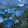 全　也　＿　デ　ス　ゲ　ー　ム
