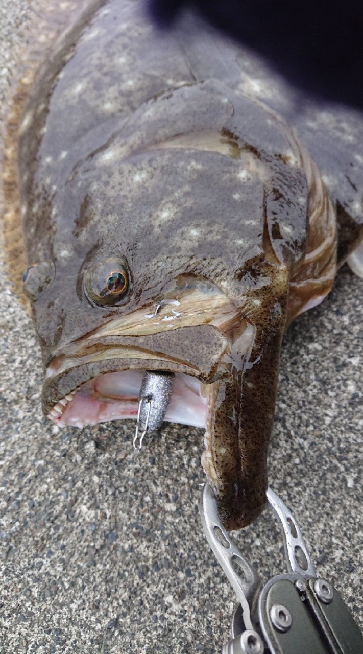 (いわき市)海釣りやっぺょ(〃⌒ー⌒〃)ゞのオープンチャット