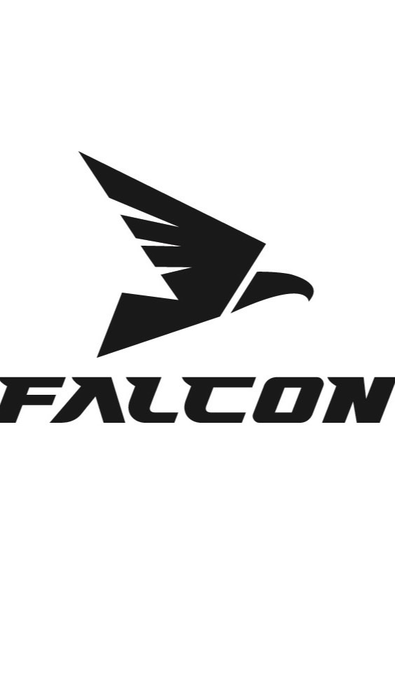 ［FX自動売買(EA)］Team Falcon