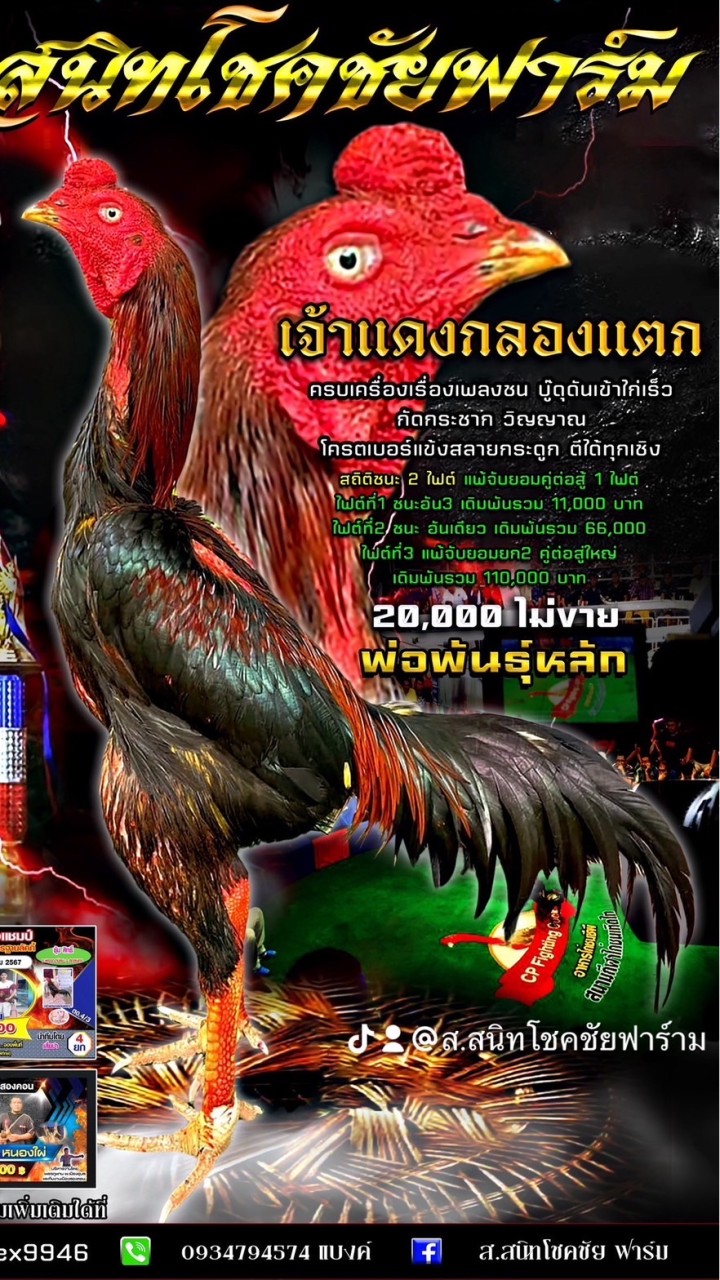 ส.สนิทโชคชัย ฟาร์ม