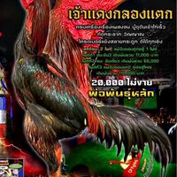 ส.สนิทโชคชัย ฟาร์ม
