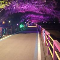 35+歡樂時光快樂聊天