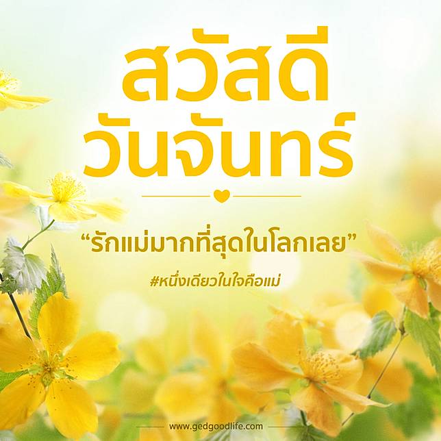 à¸ª à¸‚à¸ª à¸™à¸• à¸§ à¸™à¹à¸¡ à¸šà¸­à¸à¸£ à¸à¹à¸¡ à¸­à¸­à¸™à¹„à¸¥à¸™ à¸