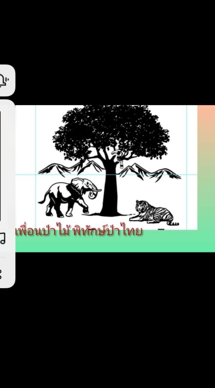 คนกลางป่า(พิทักษ์ป่าไทย)