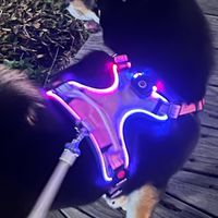 LULU窩