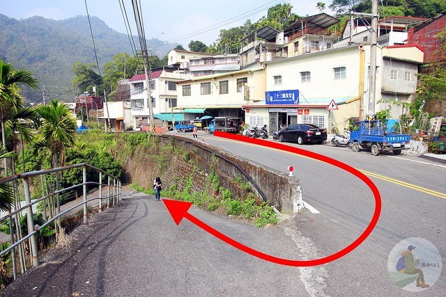 台中新社梅花秘境