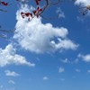 掏寶家