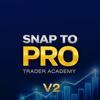 S2P TRADER ACADEMY V2