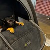 快適に働くことを考える発達障害当事者のお部屋