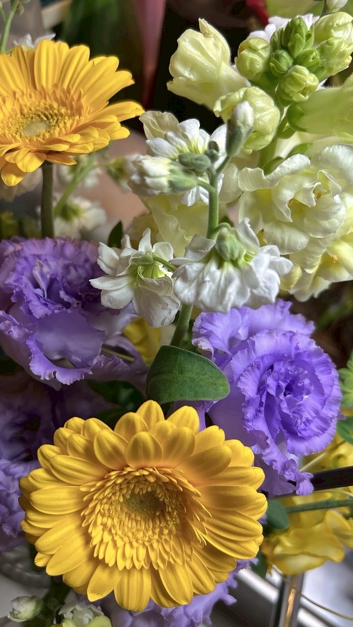 熊本第9期ハロートレーニング