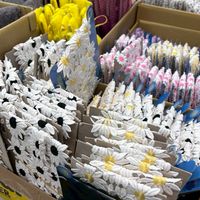 璐の浪漫溫室•蕾絲同好會