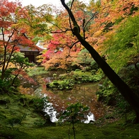 京都紅葉名所巡禮