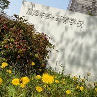 令和7年度⭐︎広報部