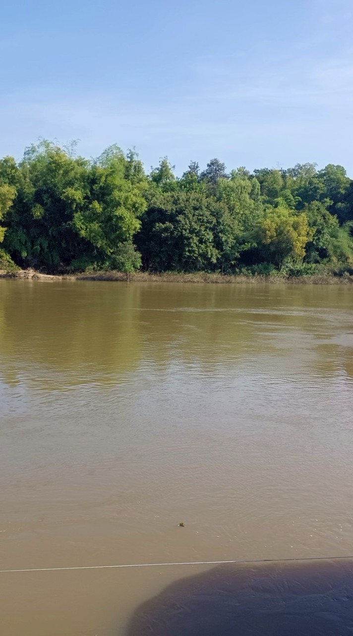 3/68-0002116 กลุ่มเรียนsummer