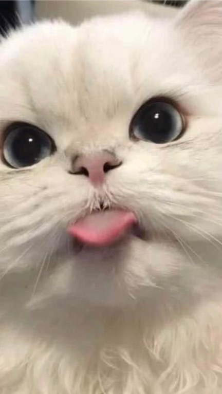 มกุล2