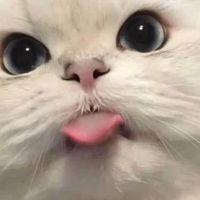 มกุล2