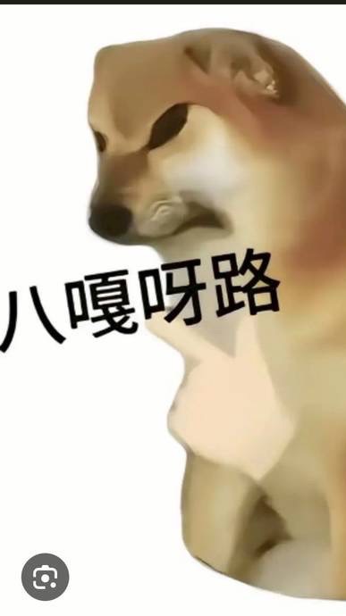 508是瘋人院