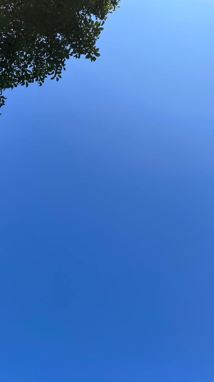 沐蒲典藏