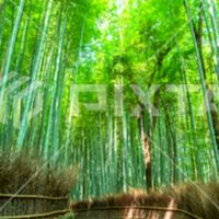 明鏡止水