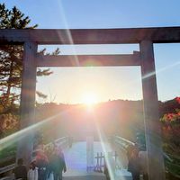 神社好き⛩️世界1🐶爆運🌏️✨️