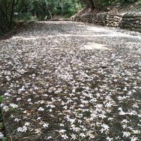 在愛情的宇宙裡找尋理想星球