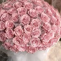 有錢花24h 官方詢問站
