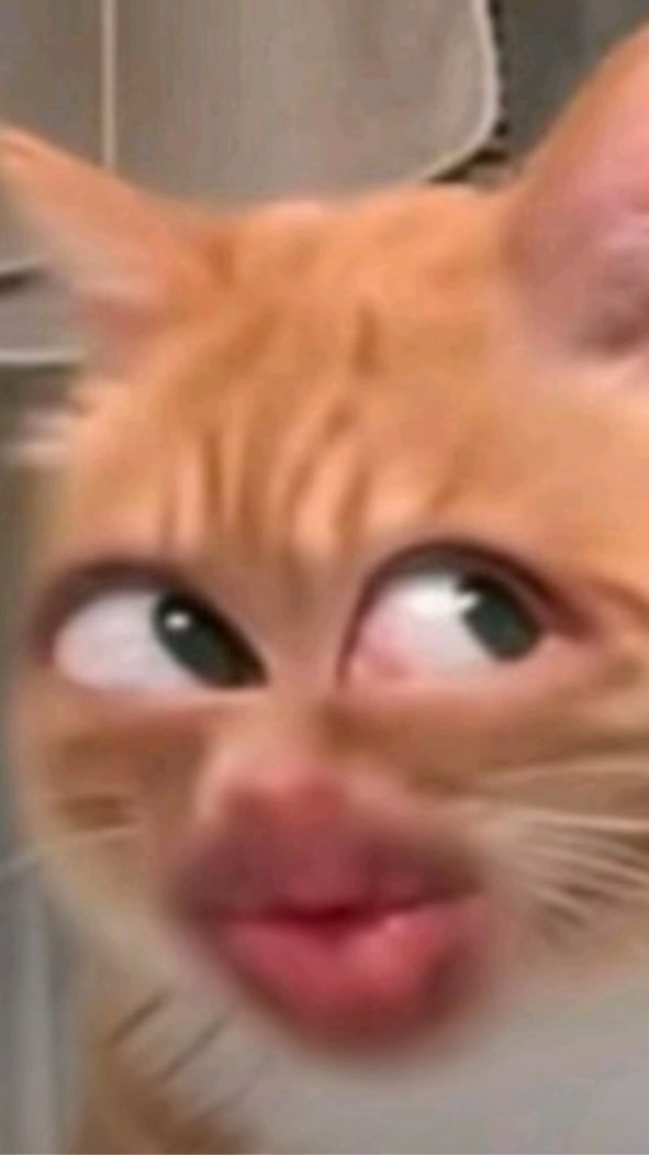 暗殺者対保安官2